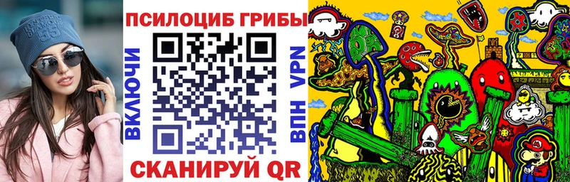 Псилоцибиновые грибы Psilocybe Ноябрьск